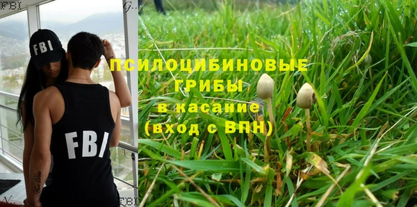 шишки Алзамай