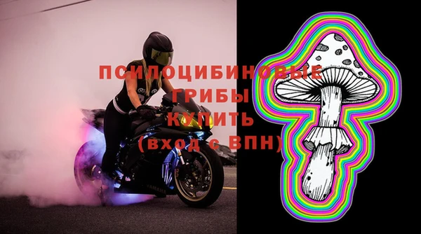 шишки Алзамай