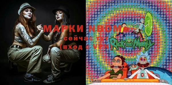 шишки Алзамай
