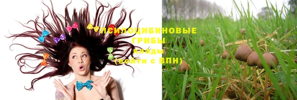 шишки Алзамай
