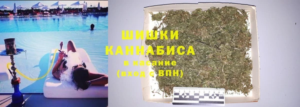 ГАЛЛЮЦИНОГЕННЫЕ ГРИБЫ Абдулино