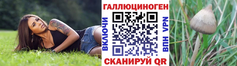 Псилоцибиновые грибы прущие грибы ОМГ ОМГ как зайти Новочеркасск
