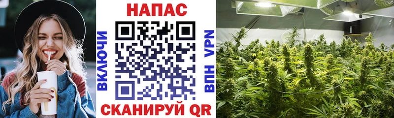дарнет шоп  Новочеркасск  Канабис LSD WEED 